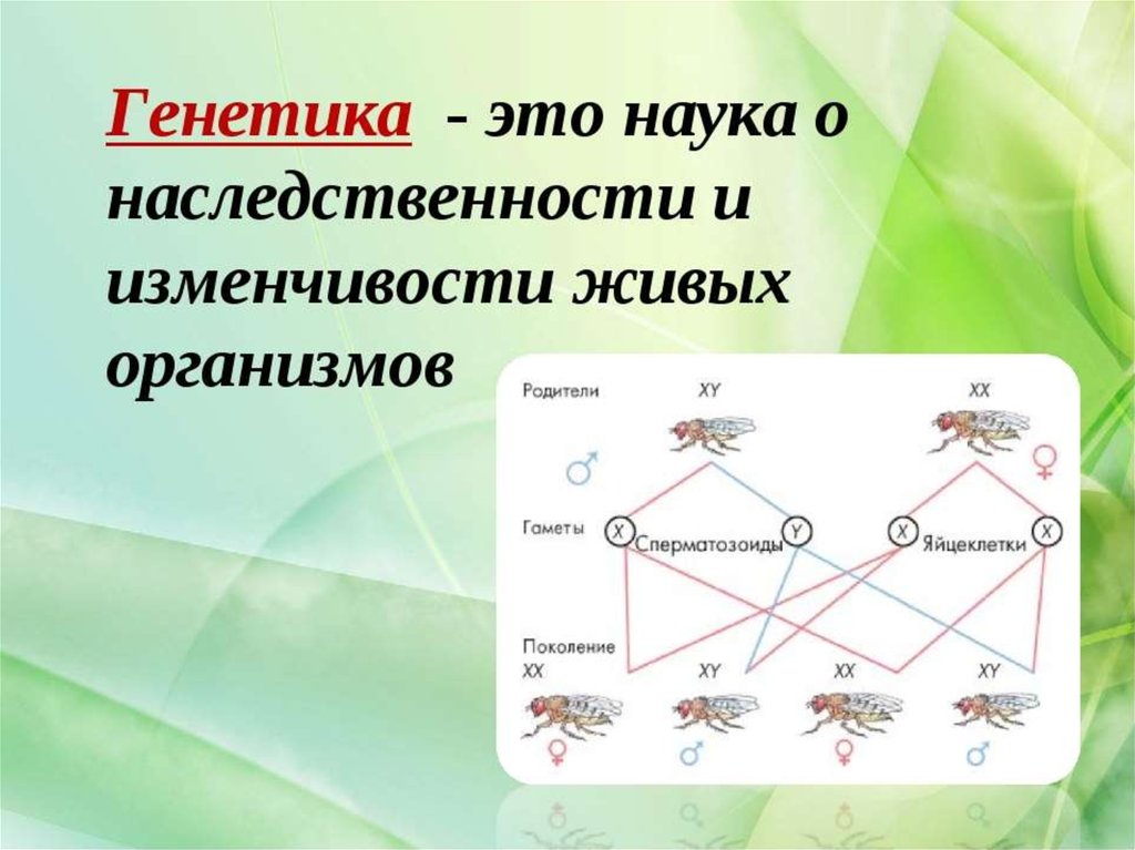 Класс биология генетика. Генетика. Генетика биология. Генетика это наука о. Генетика презентация.