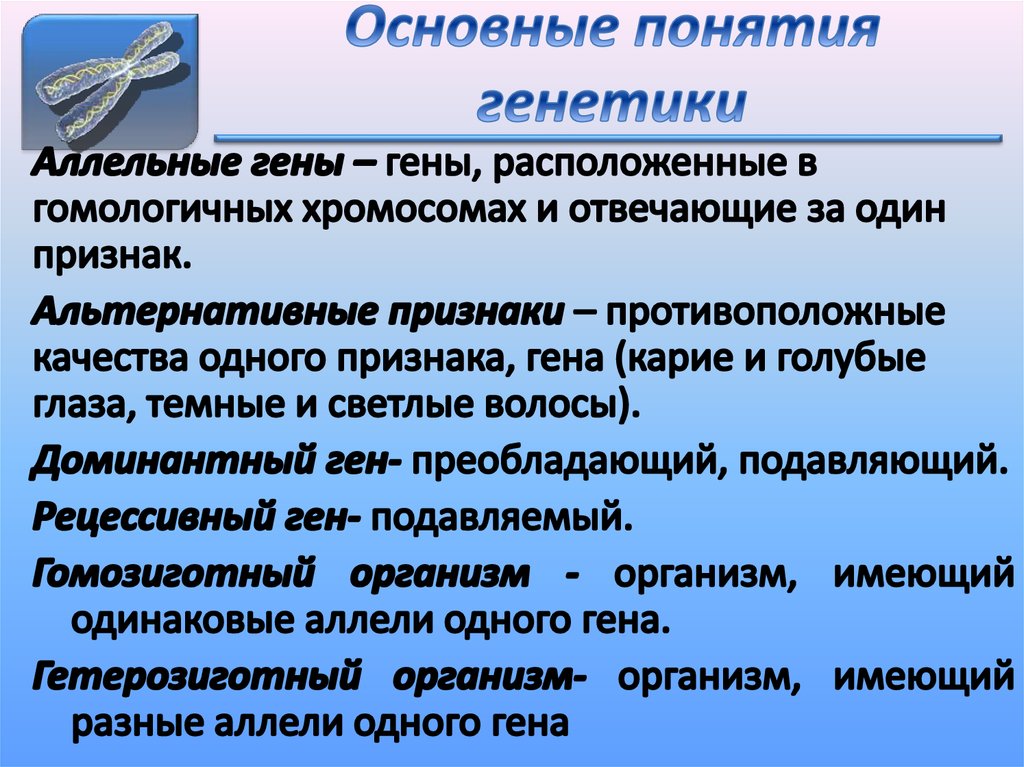 Понятия генетики