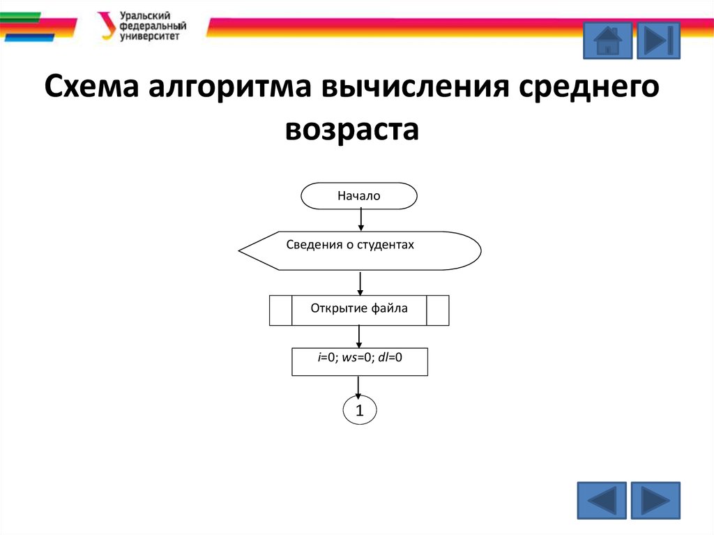 Вычислительный алгоритм