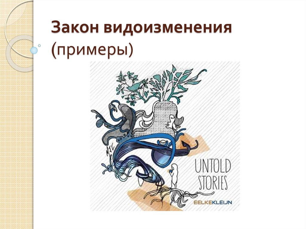 Закон видоизменения (примеры)