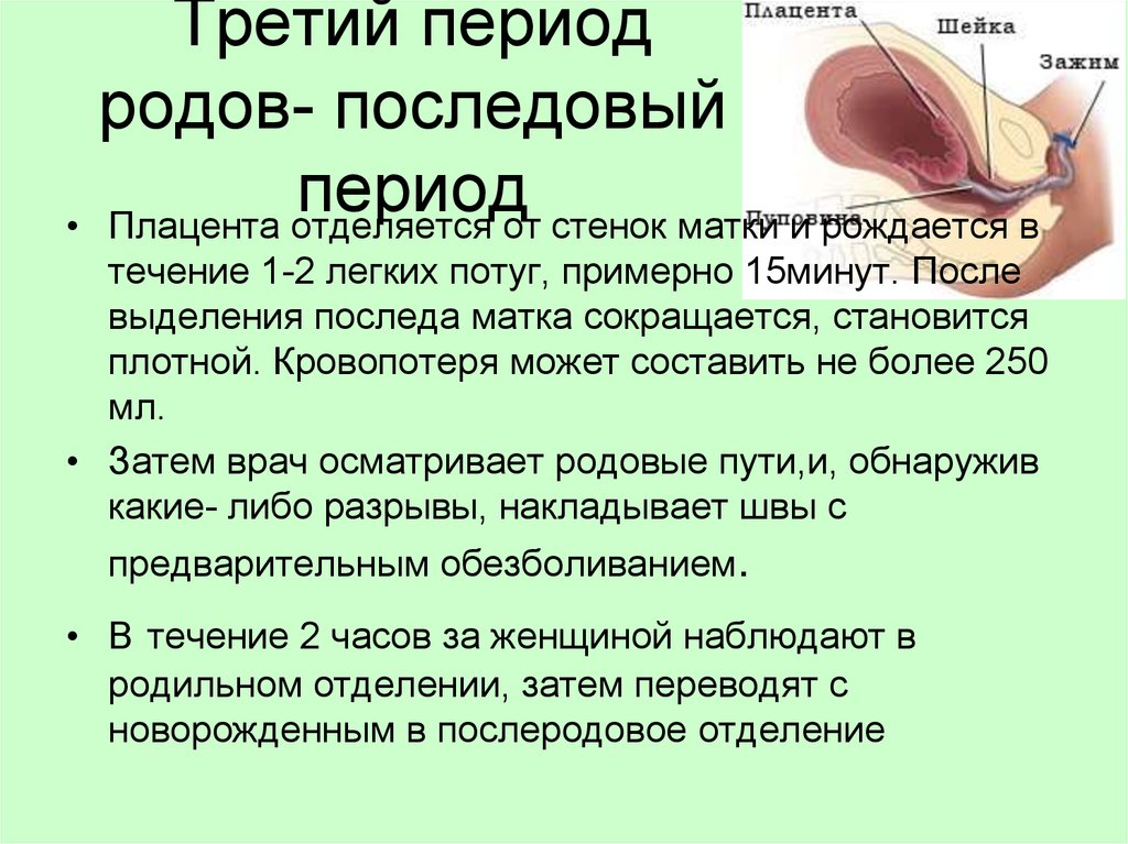 Порядок родов. Периоды родов 3 период. Последовый период 3 период родов. Отделения плаценты в третьем периоде родов. Третий Аперио н дродомав.