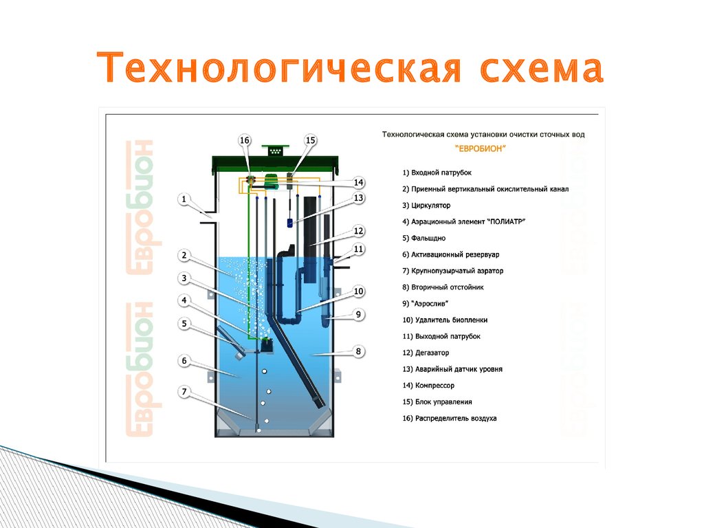 Евробион схема работы