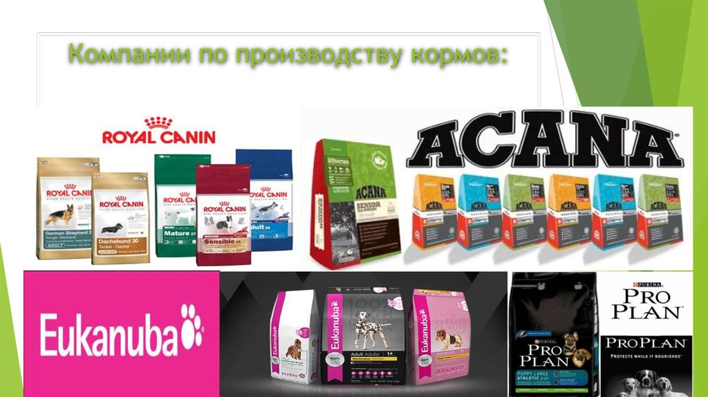 Презентация корма для животных