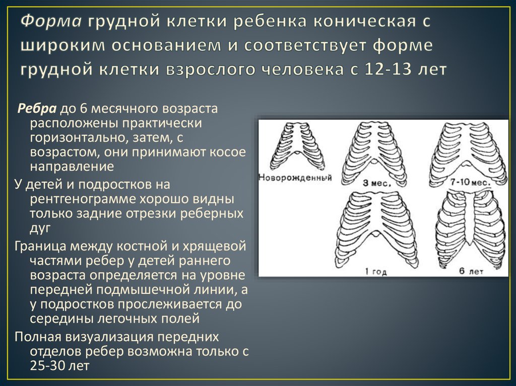 2 возрастные особенности изображения зубов и челюстей в норме на рентгенограммах