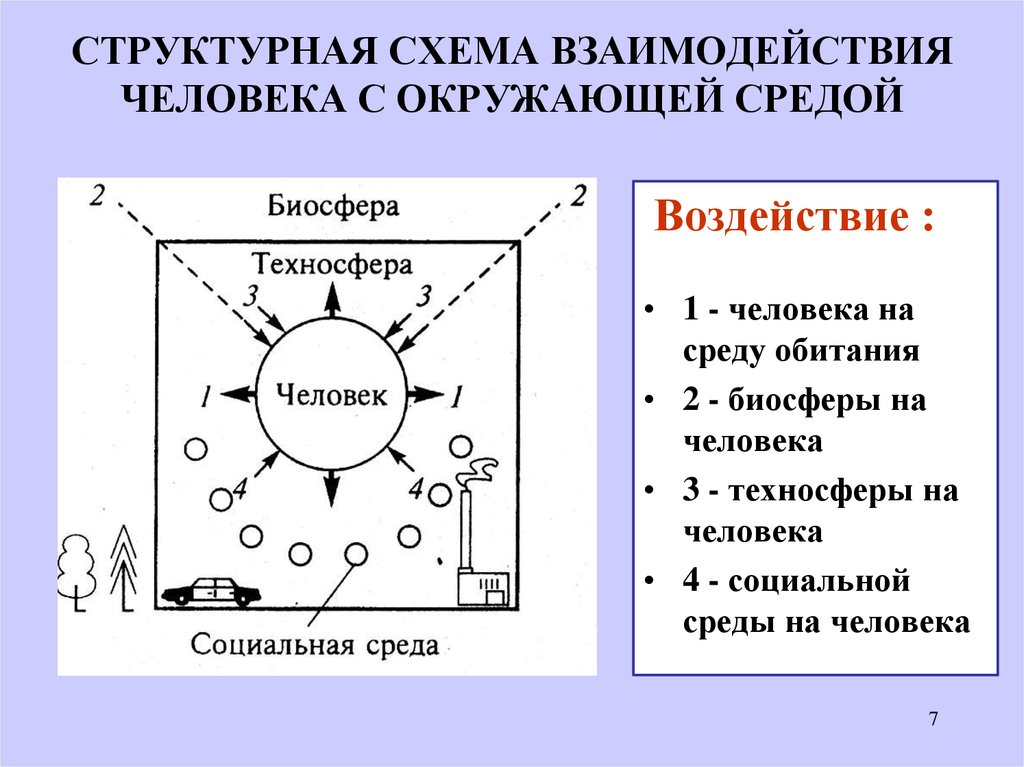 Среда схема. Взаимодействие человека с окружающей средой. Схема взаимодействия человека с окружающей средой. Взаимосвязь человека с окружающей средой. Процесс взаимодействия человека с окружающей средой.