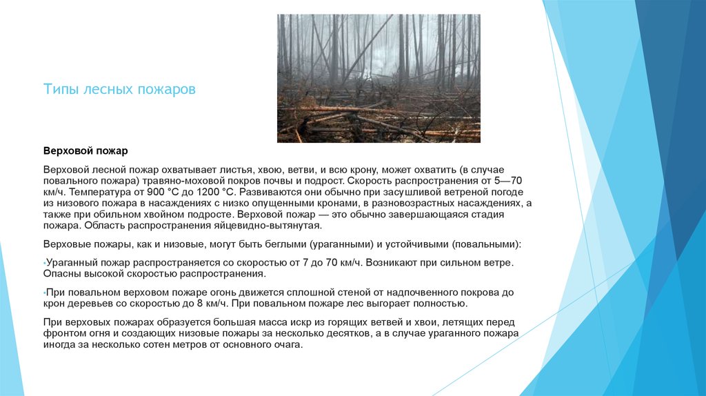 Верховые низовые подземные пожары. Типы лесных пожаров. Лесные пожары вывод. Виды и скорость распространения лесных пожаров.