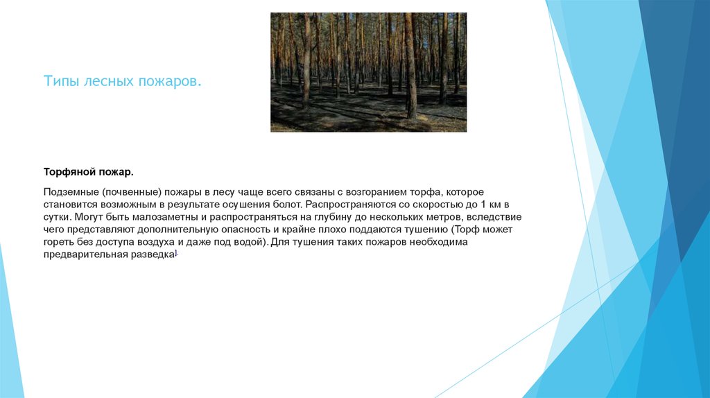 Составить предложение в чаще леса. Типы лесных пожаров. Почвенный пожар скорость распространения. Виды лесных пожаров почвенные. Типы лесных болот.