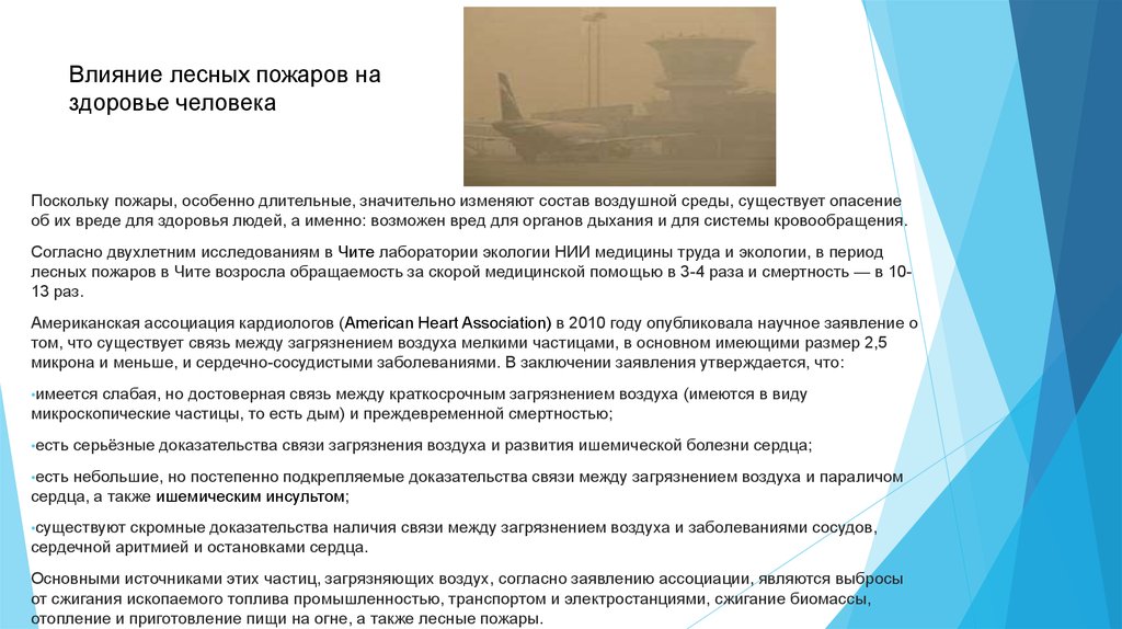 Влияние лесных пожаров. Влияние лесных пожаров на человека. Влияние пожаров на здоровье. Влияние леса на здоровье человека. Воздействие лесного пожара на человека.