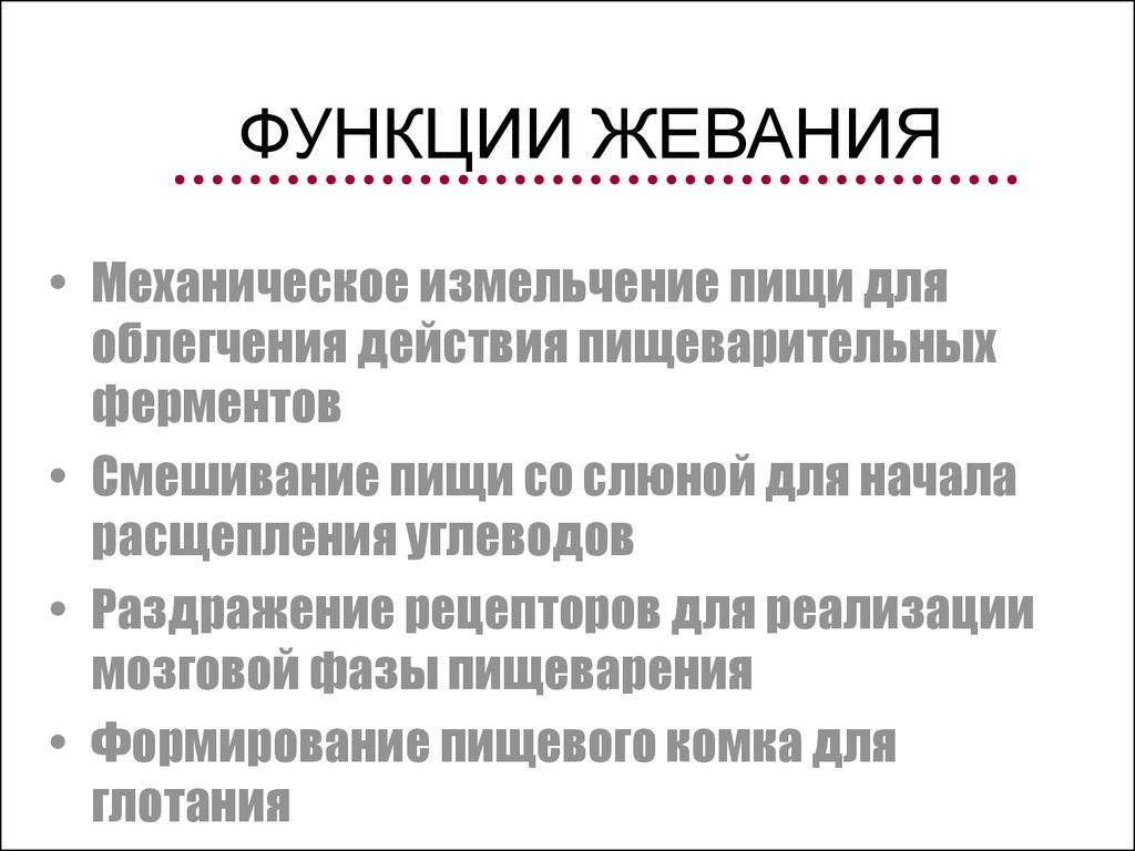 Дробление пищи. Причины нарушения жевания. Процесс жевания. Механическое измельчение пищи.