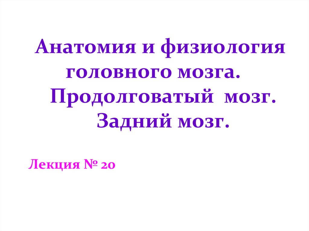 Физиология головного мозга презентация