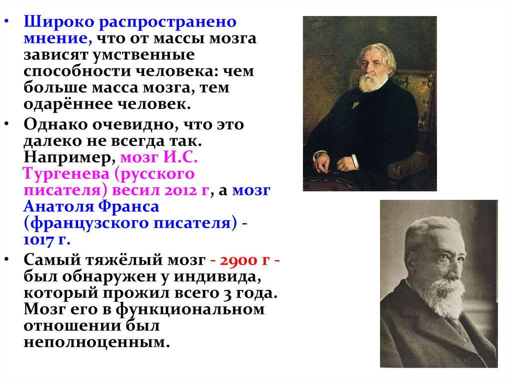 Мозги тургенева. От чего зависят умственные способности. От чего зависят умственные способности человека. Зависит ли вес мозга от интеллектуальных способностей. Зависит ли вес мозга от умственных способностей.