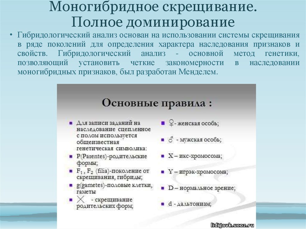 Какие особенности характерны для моногибридного скрещивания