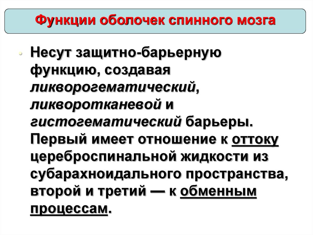 Создатель функции. Гистогематический барьер функции. Барьерные функции организма. Барьерную функцию несет.