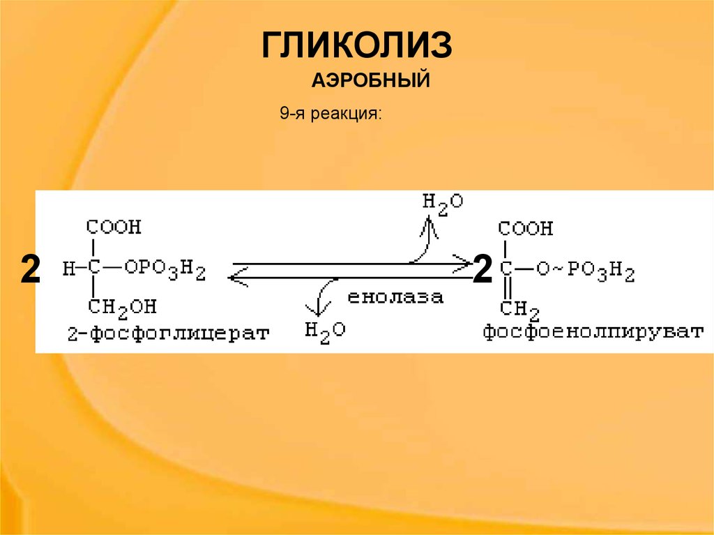 В гликолизе синтезируется атф. Аэробный гликолиз реакции. Схема реакций аэробного и анаэробного гликолиза. Общая реакция аэробного гликолиза. Аэробный гликолиз 10 реакций.