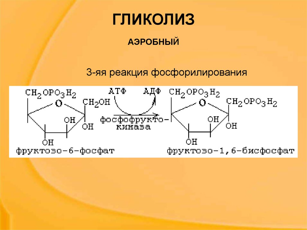 Гликолиз последовательность реакций. 10 Реакций гликолиза биохимия. Схема гликолиза биохимия. Анаэробный гликолиз биохимия реакции. Гликолиз формулы биохимия.