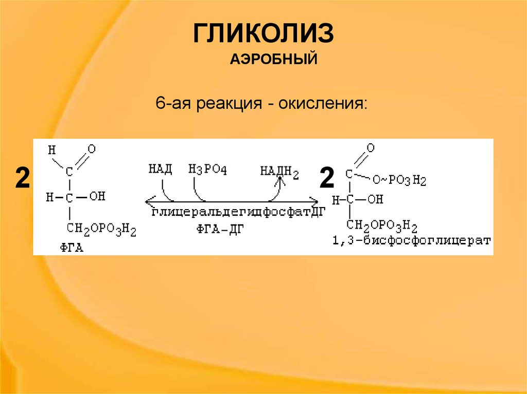 Гликолиз 6 атф. Анаэробный гликолиз формула. Схема анаэробного гликолиза биохимия. Аэробный гликолиз реакции биохимия. Анаэробный гликолиз биохимия реакции.