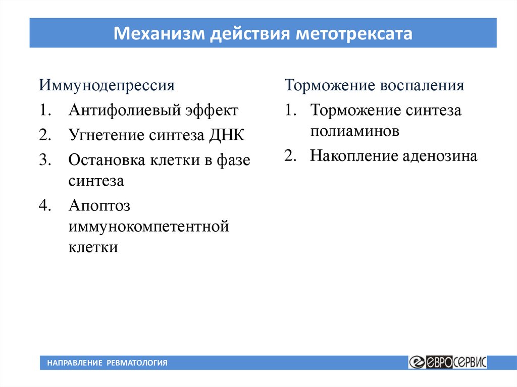 Метотрексат инструкция при ревматоидном артрите отзывы. Метотрексат механизм действия. Механизм действия метотрексата при ревматоидном артрите.