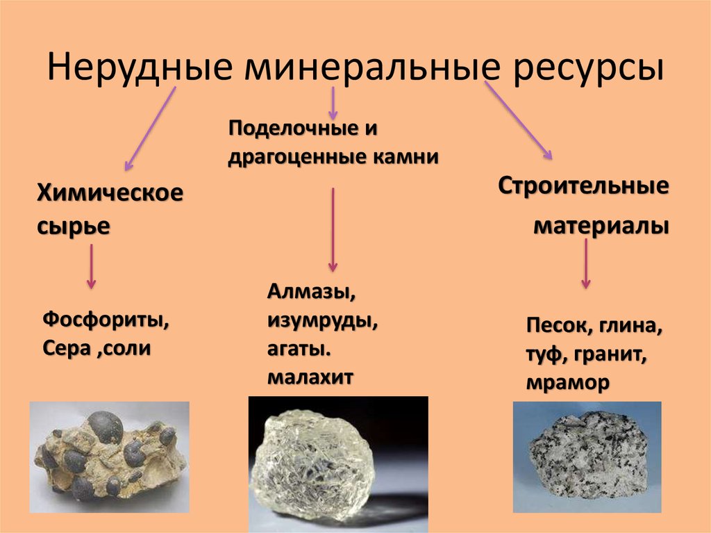 Органические ископаемые камни