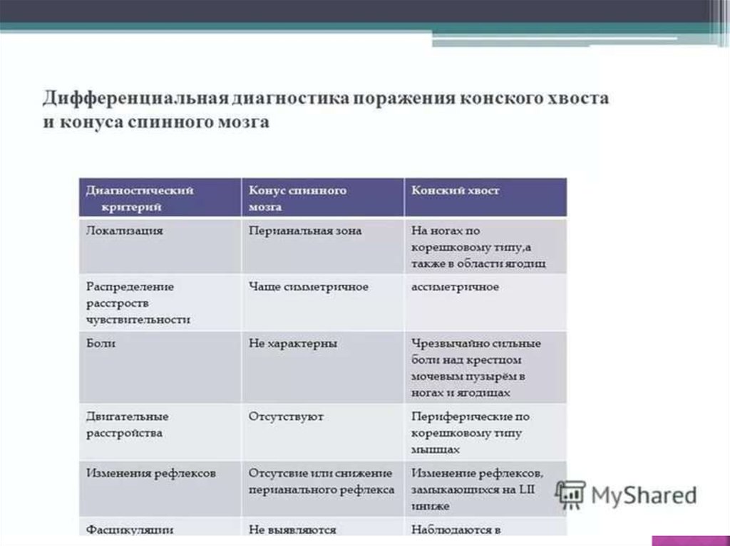 Клиническая картина компрессии корешков конского хвоста отличается от компрессии конуса и эпиконуса