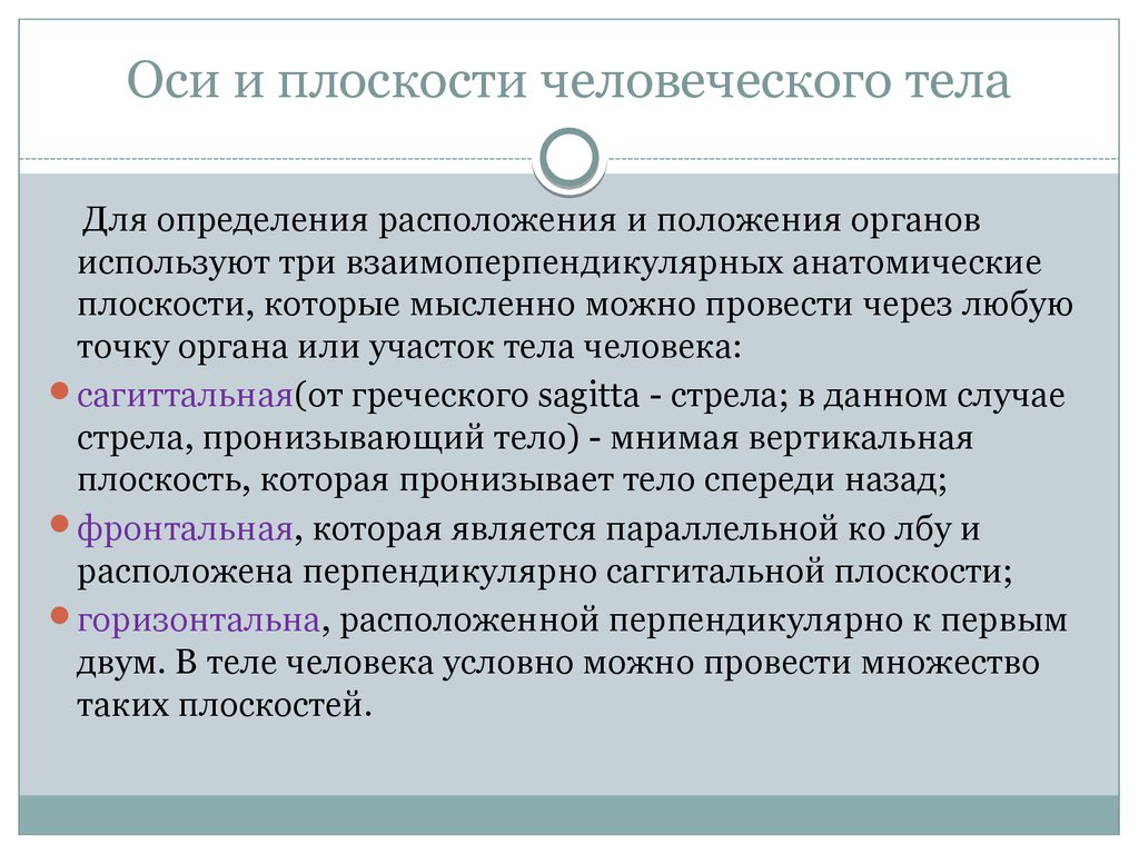 Общая ось. Три взаимно перпендикулярные оси проводимые через тело человека. Вывод по плоскости и оси человека. Для определения положения органов используют. Какие плоскости тела используют для определения положения органов.