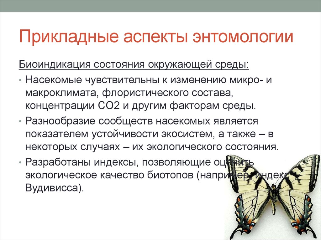 Микро изменение. Энтомология презентация. Роль энтомологии. Разделы биологии энтомология. Современная энтомология.