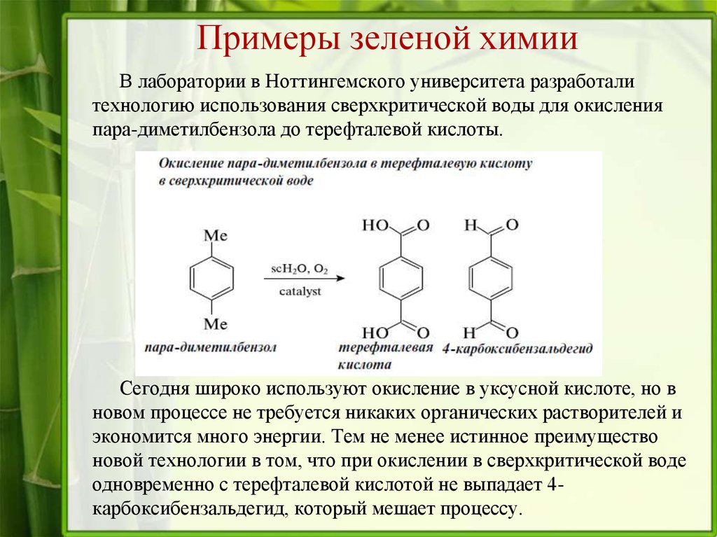 Презентация на тему зеленая химия