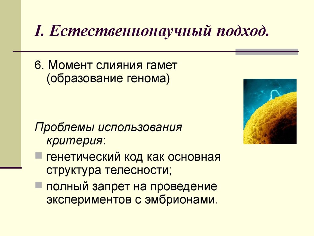 Момент презентация. Слияние гамет. Момент слияния гамет образование генома. Структура телесности. Типы естественнонаучных экспериментов.