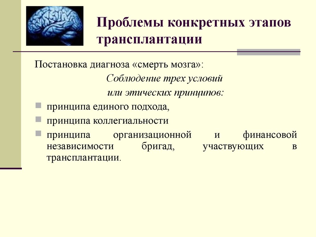 Презентация биоэтика трансплантация