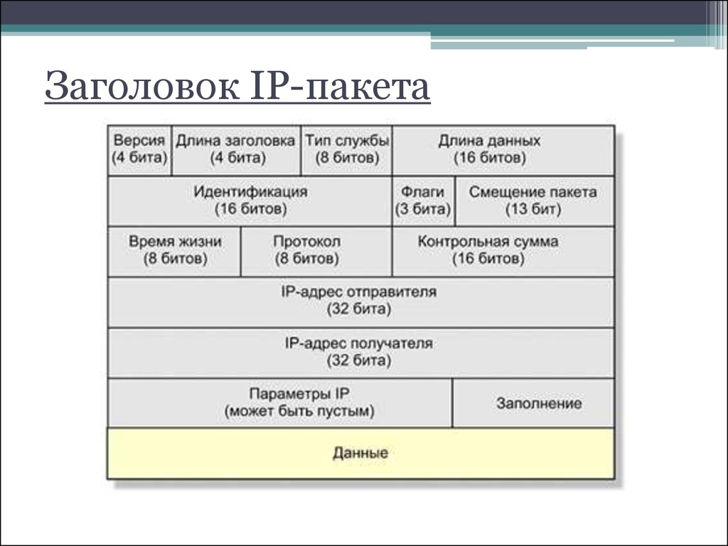 Пакет ip адресов. Состав IP пакета поля. IP протокол структура пакета. Пакет TCP IP структура. Формат IP пакета.