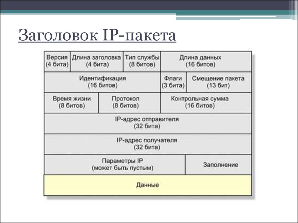 Адрес который получается. IP протокол структура пакета. Заголовок протокола IP. Структура заголовка IP пакета. Формат IP пакета.