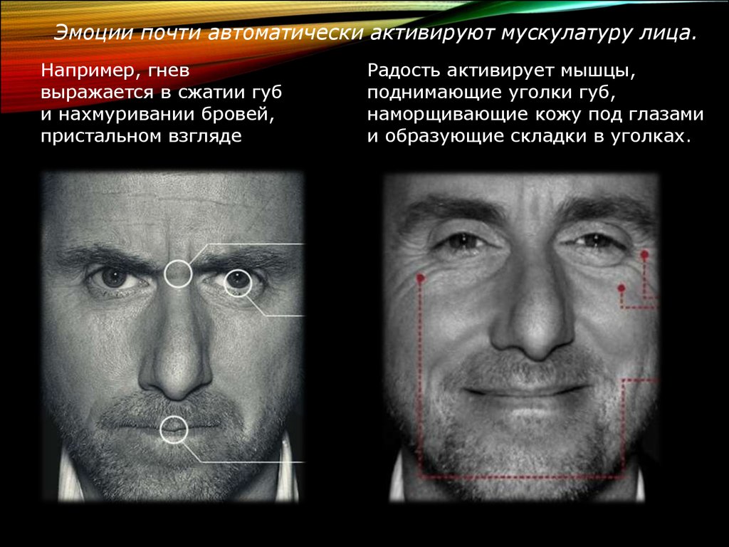 Найти по лицу человека. Невербальные признаки лжи. Невербальное проявление лжи. Невербальные жесты лжи. Распознать ложь по мимике и жестам.