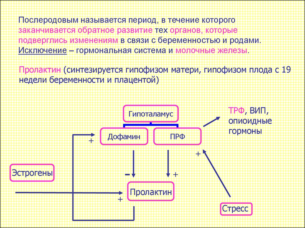 Период обратного развития. Послеродовой период схема. Период послеродового развития. Изменения в послеродовом периоде. Периоды послеродового периода.