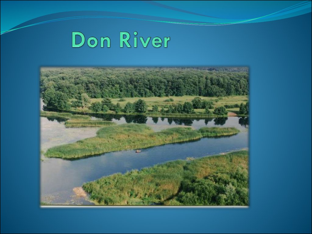 Don River