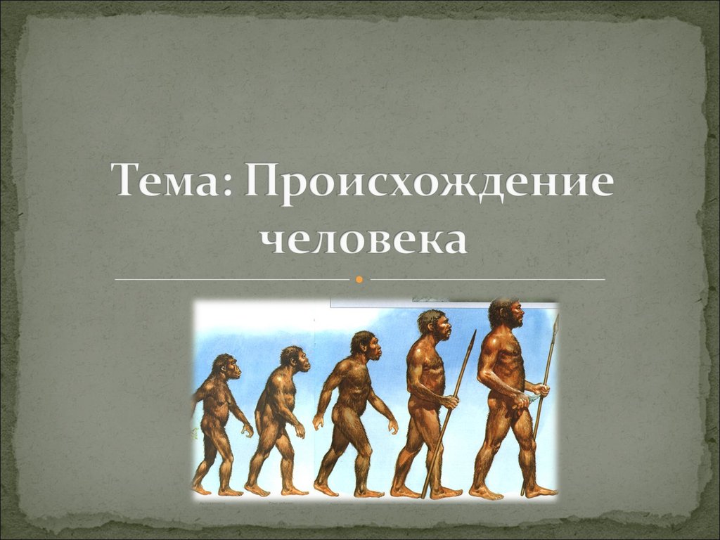 Где по мнению ученых появились первые люди. Происхождение человека. История развития человека. Эволюция человека. Первобытные люди Эволюция.