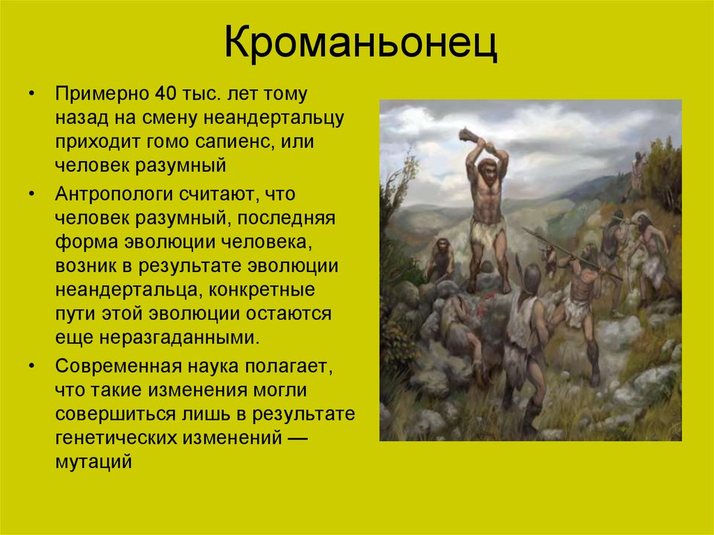 Кроманьонец. Кроманьонец (40 тыс. Лет назад). Культура кроманьонцев. Человек разумный появился примерно 40 тысяч лет назад. Кроманьонец годы существования.