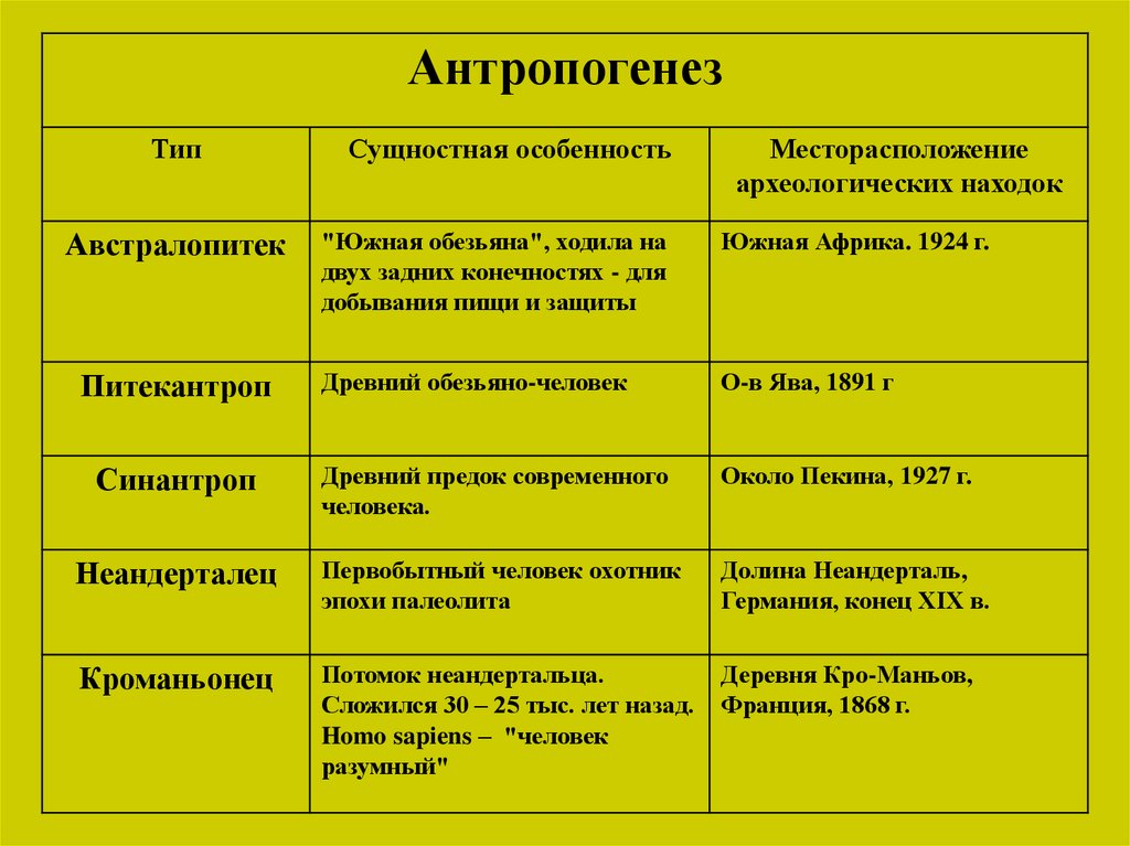 Таблица развитие человека. Таблица основные этапы антропогенеза таблица. Антропогенез таблица по биологии 11 класс. Основные этапы этапы антропогенеза. Стадии развития антропогенеза таблица.