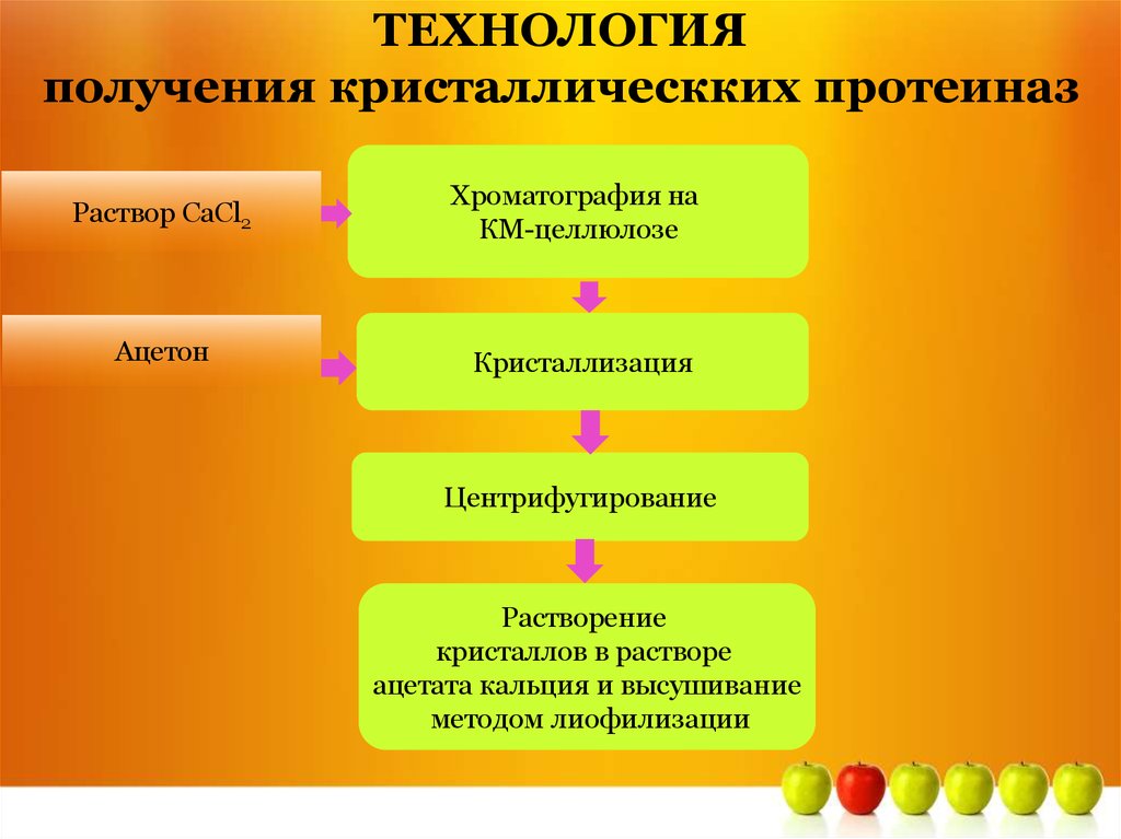 Технология получения. Технология получения протеазы. Получение протеазы биотехнология. Хроматография на км целлюлозе.