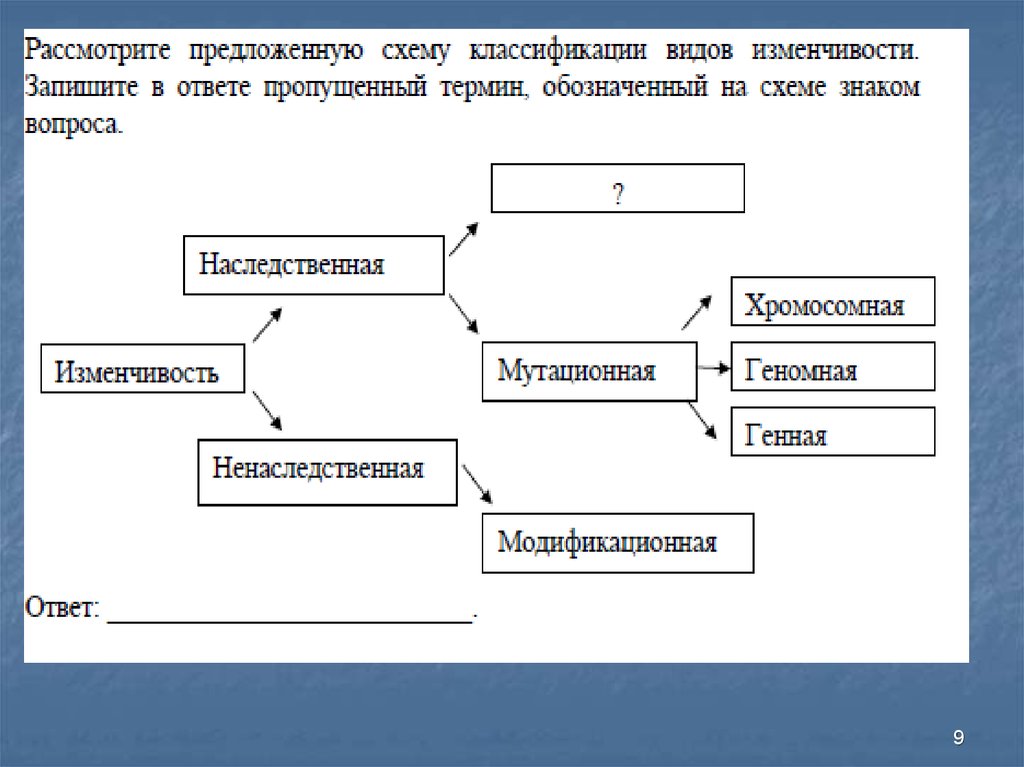 Изменчивость таблица схема