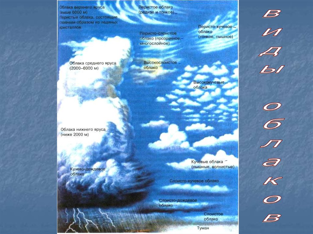 Схема облаков. Виды облаков. Виды облаков названия. Облака на разной высоте. Виды облаков рисунок.