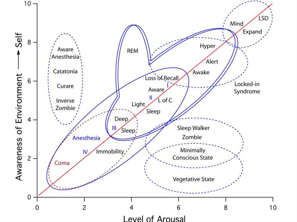 Loss of consciousness. States of Consciousness. Levels of Consciousness. Understanding Consciousness. States of Consciousness and unconsciousness.