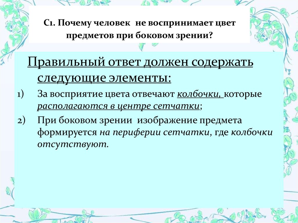 Почему при боковом зрении хорошо видна