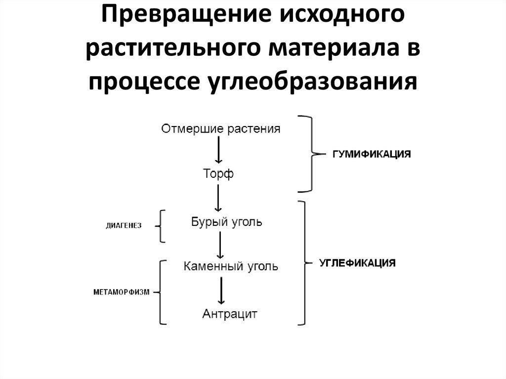 Представьте последовательность. Стадии углеобразования. Процесс угле оброзрвания. Стадии формирования угля. Стадии образования угля.