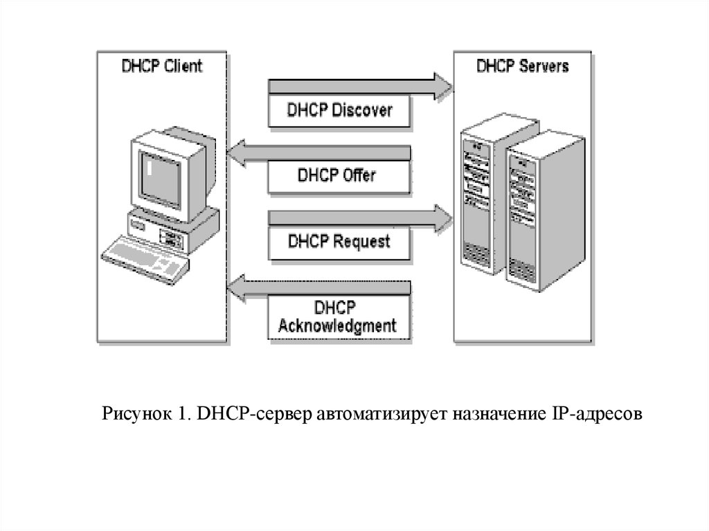 D h c. DHCP картинки. Назначение DHCP сервера. DHCP Назначение. 1. DHCP-сервер.