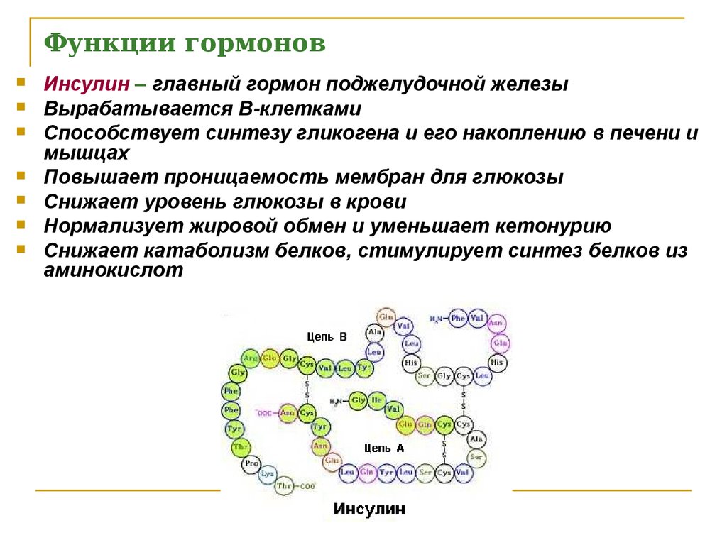 Инсулин какими клетками