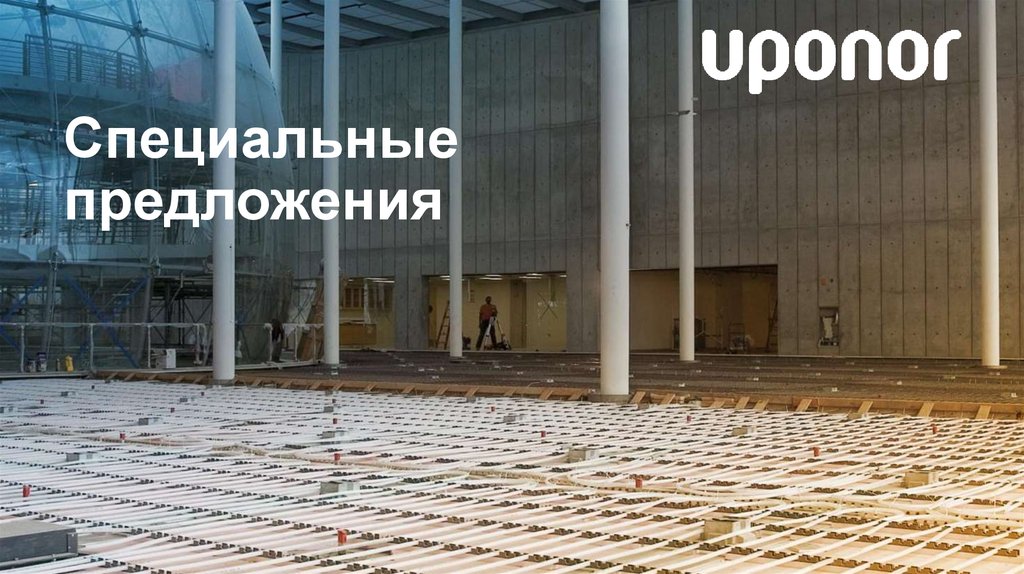 Специальные предложения