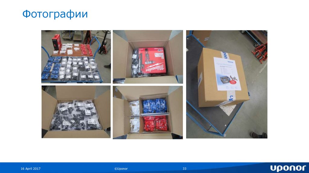 Фотографии