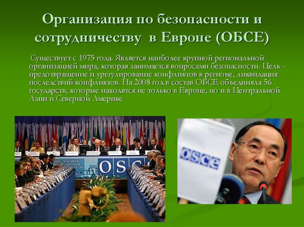 Организация по безопасности и сотрудничеству в Европе (ОБСЕ)