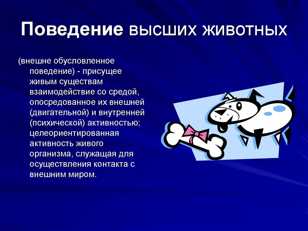 Поведение животных 8 класс. Поведение высших животных. Поведение высших животных (внешне обусловленное поведение). Доклад на тему поведение животных. Поведение животных презентация.