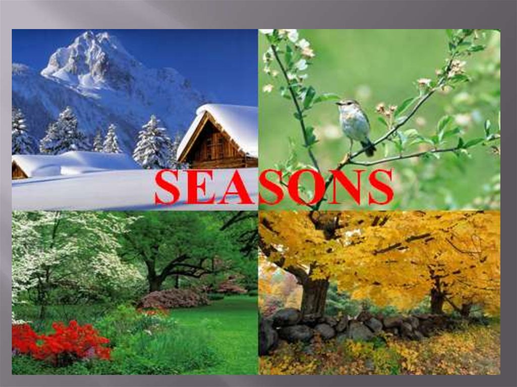 Seasons презентация на английском