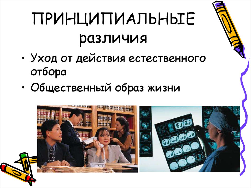 Мир принципиально. Общественный образ жизни. Картинка принципиальное отличие.